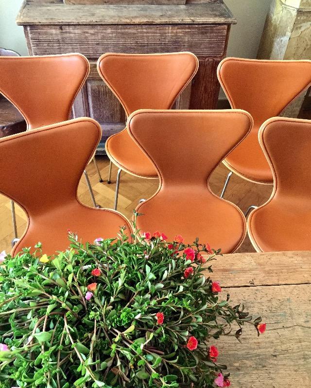 Arne Jacobsen leather Ant chairs