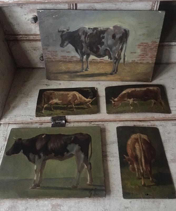 Oilpaintings of cows